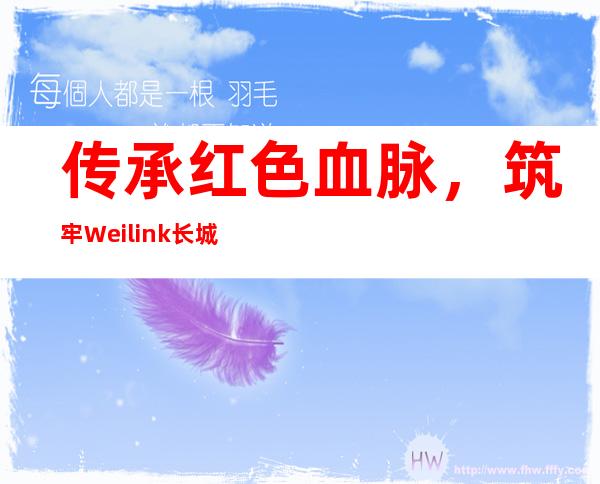 传承红色血脉，筑牢Weilink长城